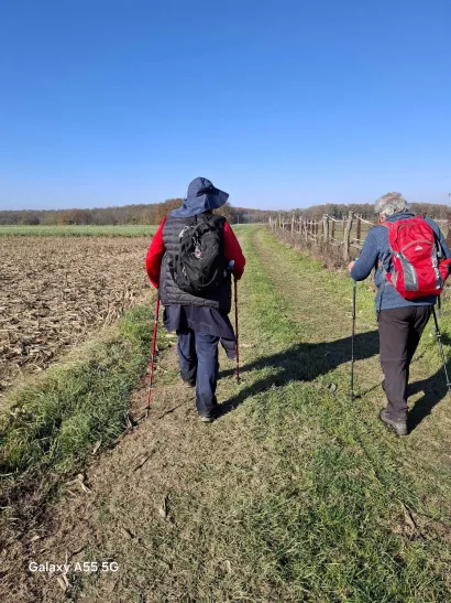 Foto: Ankica Kotar&scaron;čak