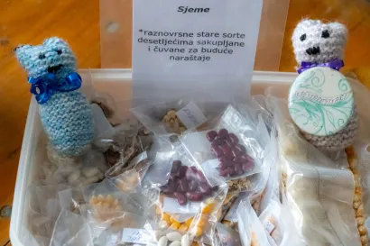 Pojedine vrste sjemena stare su preko stotinu godina/Foto: &Scaron;tefan Brajković