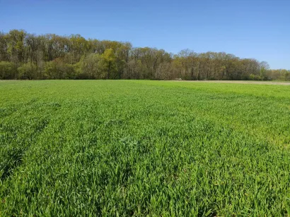 Polja obitelji Sokolović ne tretiraju se kemijom/Foto: Privatni album