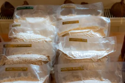 Bra&scaron;no kakvo ne možete kupiti u trgovini/Foto: &Scaron;tefan Brajković