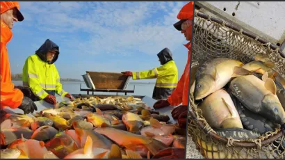 Foto: Ribnjačarstvo Končanica