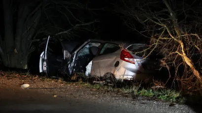 Foto: Bozidar Vukicevic/CROPIX (Ilustracija)