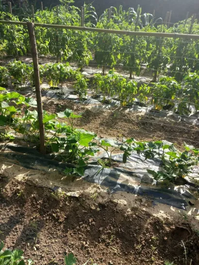 Sa suprugom uređuje i vrt/Foto: Privatni album