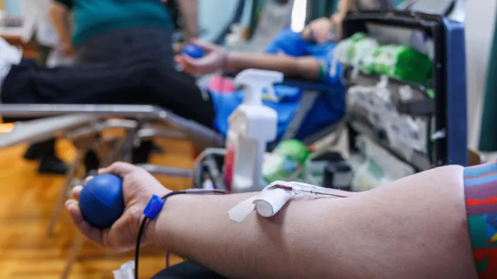 Darivanje krvi spa&scaron;ava živote/Foto: Jakov Prkic/CROPIX