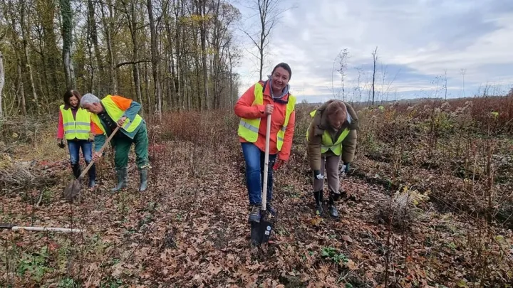 Po&scaron;umljavanje kod naselja Breza pored Bjelovara bilo je u studenom 2021. godine/Foto: Lions klub Nasta Rojc Bjelovar