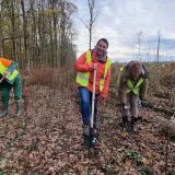 Po&scaron;umljavanje kod naselja Breza pored Bjelovara bilo je u studenom 2021. godine/Foto: Lions klub Nasta Rojc Bjelovar