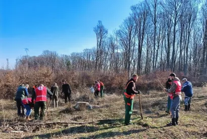 Foto: &Scaron;umarija Daruvar