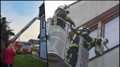 Foto: JVP Gare&scaron;nica