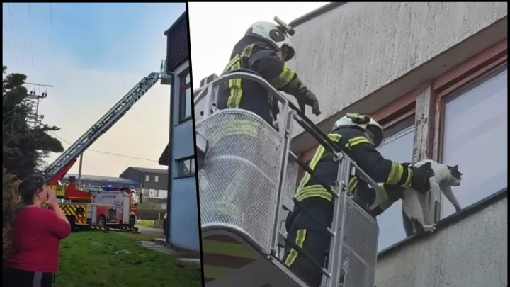 Foto: JVP Gare&scaron;nica