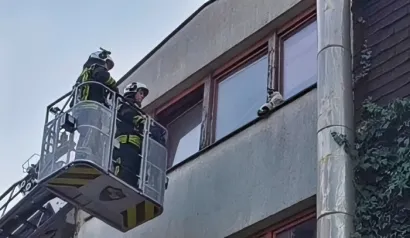 Foto: JVP Gare&scaron;nica