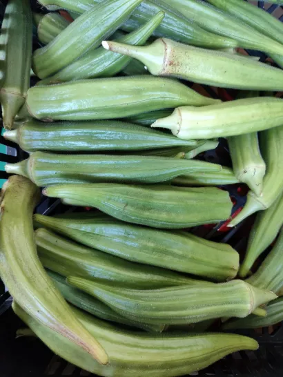 Bamija je jo&scaron; jedna egzotična kultura na imanju Draženke i Silvija/Foto: Privatni album