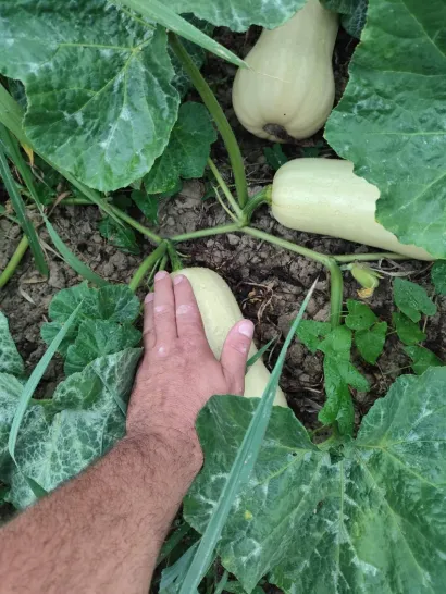 Foto: Privatni album