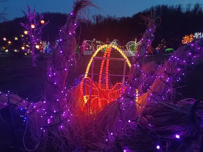 Foto: Čarolija svjetla Salaj