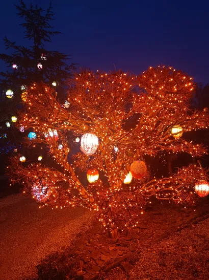 Foto: Čarolija svjetla Salaj