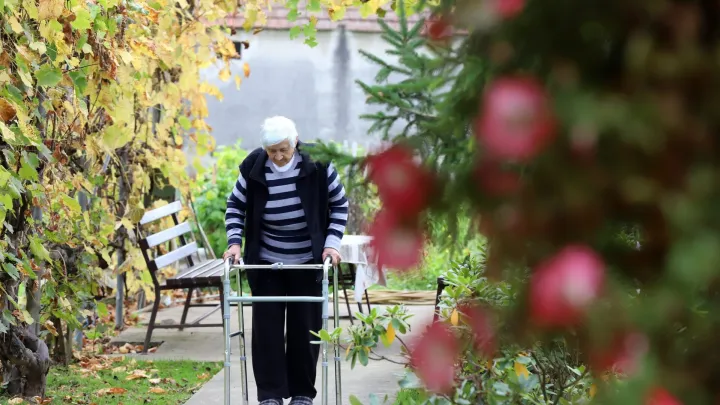 Foto: Zeljko Hajdinjak/CROPIX (Ilustracija)