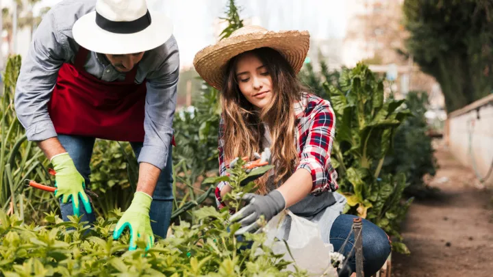 Foto: Freepik (Ilustracija)