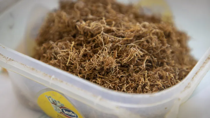 Rezani duhan/Foto: Bozidar Vukičević/CROPIX (ilustracija)