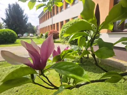 Foto: O&Scaron; Mate Lovraka Veliki Grđevac