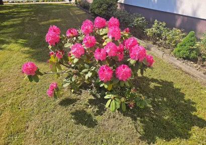 Vrt u matičnoj &scaron;koli Mate Lovraka u Velikom Grđevcu/Foto: O&Scaron; Mate Lovraka Veliki Grđevac