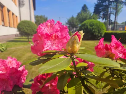 O&Scaron; Mate Lovraka Veliki Grđevac/Foto: O&Scaron; Mate Lovraka Veliki Grđevac