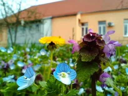 Područna &scaron;kola Pavlovac/Foto: O&Scaron; Mate Lovraka Veliki Grđevac