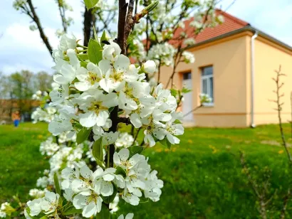 Područna &scaron;kola Pavlovac/Foto: O&Scaron; Mate Lovraka Veliki Grđevac