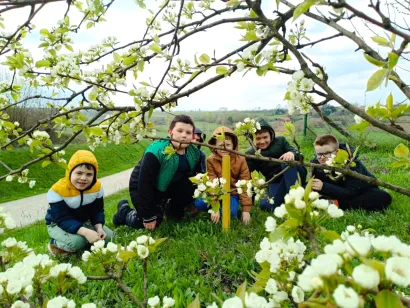 Mali&scaron;ani iz Područne &scaron;kole Pavlovac/Foto: O&Scaron; Mate Lovraka Veliki Grđevac