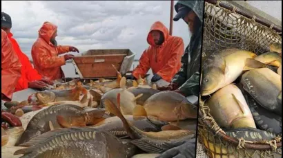 Foto: Ribnjačarstvo Končanica