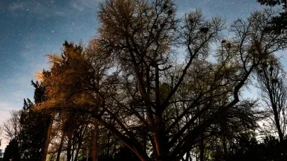 Večeras će Daruvar biti u mraku/Foto: Grad Daruvar