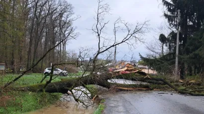 Osim u Rovi&scaron;ću, drvo je palo i na cestu u Lugu/Foto: Grad Bjelovar