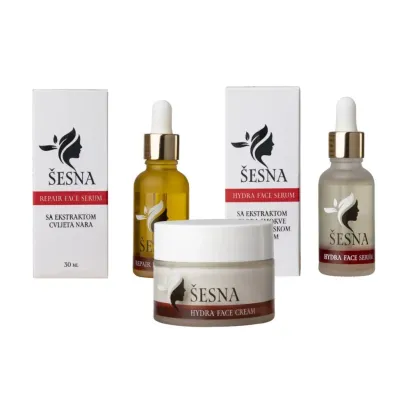 Foto: OGP Ivanović Tonči