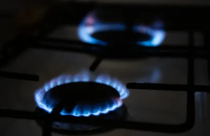 Foto: Željko Hajdinjak/CROPIX