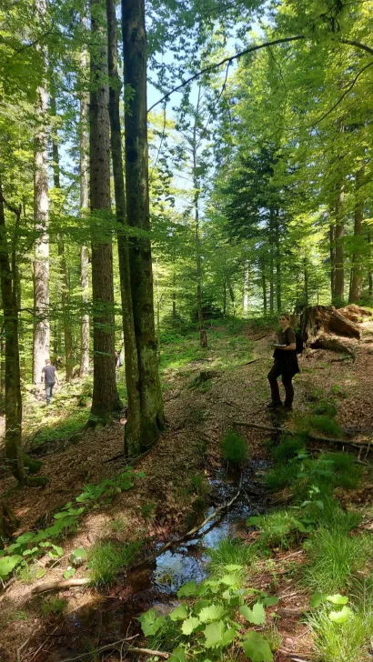 Mlada stručnjakinja za muflone zaposlena je u &Scaron;umariji Gare&scaron;nica/Foto: Privatni album