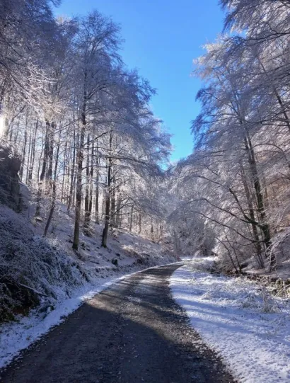 Foto: Tomo Marković