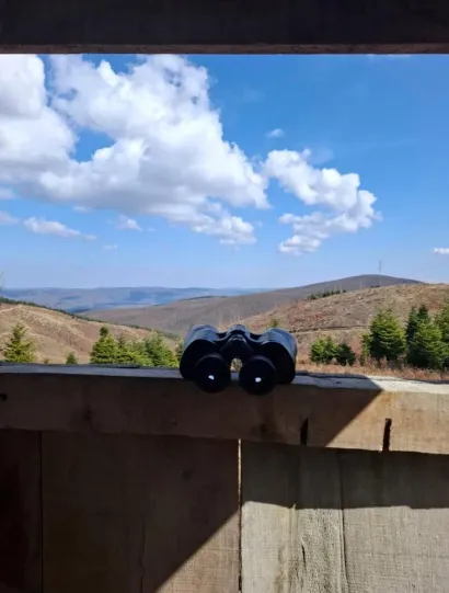 Foto: Tomo Marković