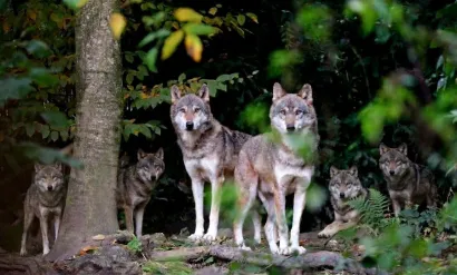 Sjajna podvala stigla je iz zagrebačkog ZOO-a/Foto: ZOO Grada Zagreba 