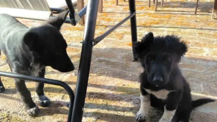 Foto: Općina Severin