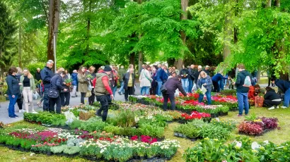 Julijev park kao jedan od najljep&scaron;ih u Hrvatskoj idealna je lokacija za ovakvu manifestaciju/Foto: Predrag Uskoković/Grad Daruvar