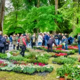 Julijev park kao jedan od najljep&scaron;ih u Hrvatskoj idealna je lokacija za ovakvu manifestaciju/Foto: Predrag Uskoković/Grad Daruvar