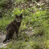 Foto: Ivana Nobilo/CROPIX (ilustracija)