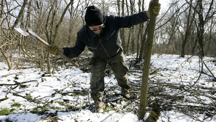 Foto: Vlado Kos/CROPIX (ilustracija)