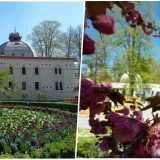 Foto: Daruvarske toplice