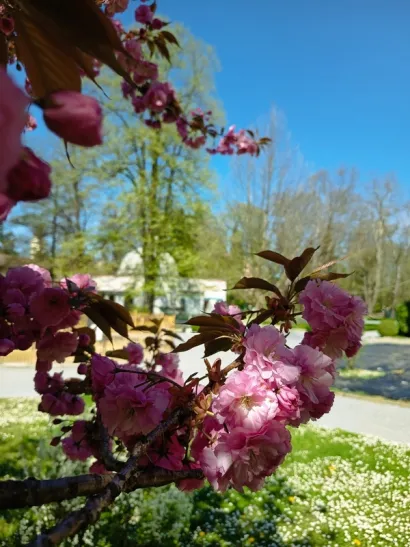 Foto: Daruvarske toplice