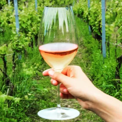 Da bi se dobio vrhunski proizvod, potrebno je puno truda i ulaganja/Foto: Privatni album 