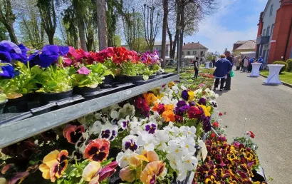 Foto: Nikica Puhalo/MojPortal.hr