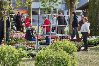 Foto: Nikica Puhalo/MojPortal.hr