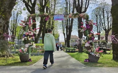 Foto: Nikica Puhalo/MojPortal.hr