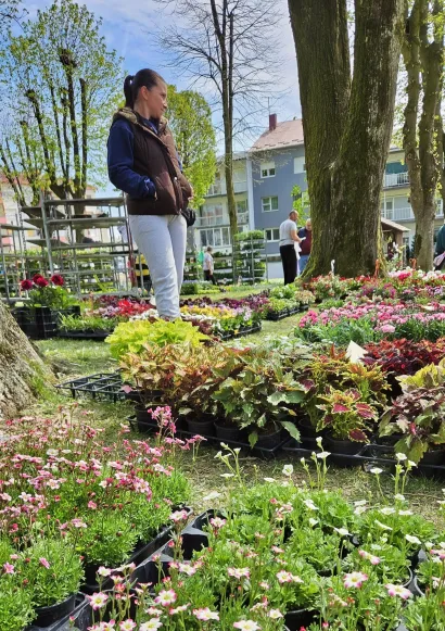 Foto: Nikica Puhalo/MojPortal.hr