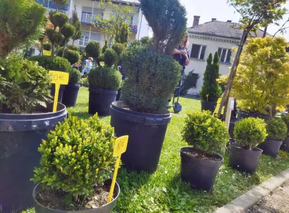 Foto: Leon Puhalo/MojPortal.hr