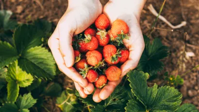 Foto: Freepik (Ilustracija)